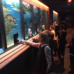 Trip-to-the-Aquarium-with-Class-B-Minaiture
