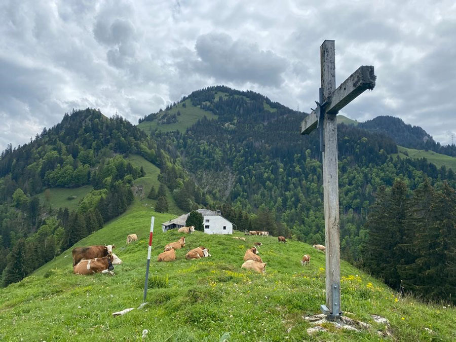 Excursions at Verbier International School